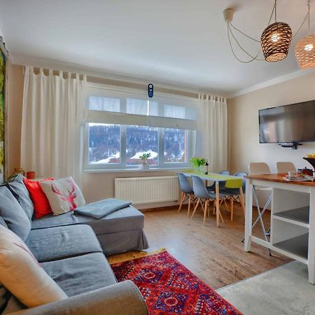 Apartament Zielona Mila Apartment Ustrzyki Dolne Ngoại thất bức ảnh